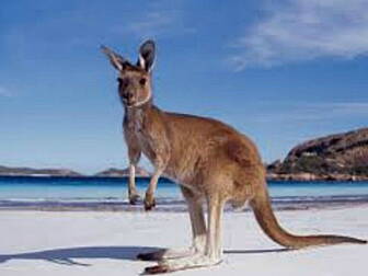 Working Abroad Australia Expo...